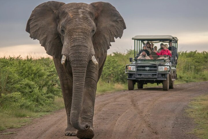5 Day Garden Route and Addo Safari - Best of South Africa Small Group Tour - Photo 1 of 25